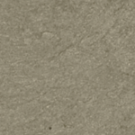 DS14100