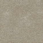 DS14101