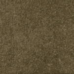 DG14206 novacolor™ dune gold metallic plaster