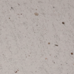 TDB 15680 novacolor™ teodorico color swatch